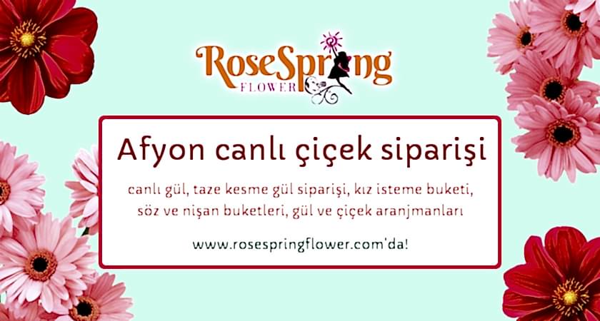 Afyon canlı çiçek siparişi